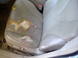 2009 TOYOTA CAMRY, BLUE, HYBRID, 2.4L, AT,   Z25086